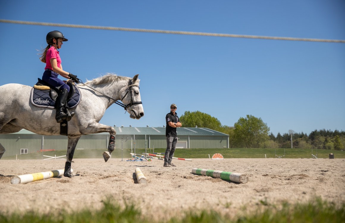Conditioning for Soundness in the Performance Horse