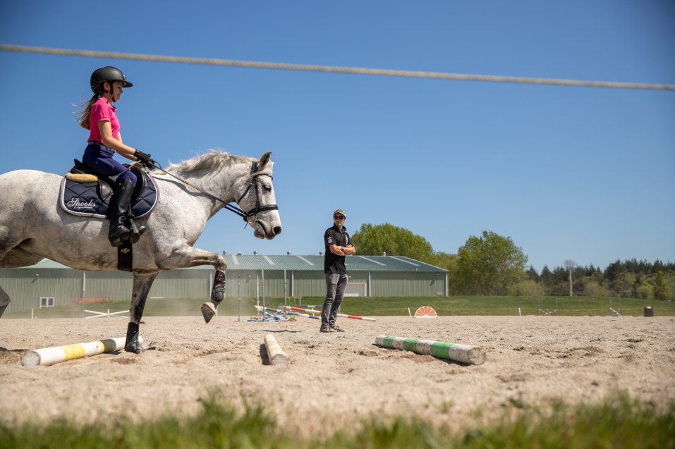 Conditioning for Soundness in the Performance Horse